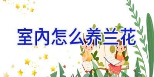 室内怎么养兰花
