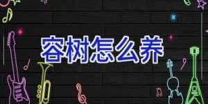 容树怎么养