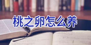 桃之卵怎么养
