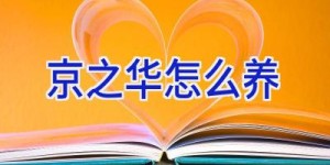 京之华怎么养