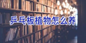 乒乓板植物怎么养