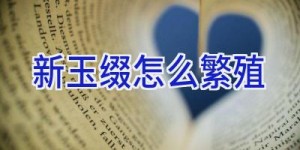 新玉缀怎么繁殖