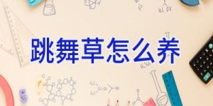 跳舞草怎么养