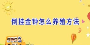 倒挂金钟怎么养殖方法