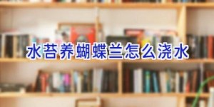 水苔养蝴蝶兰怎么浇水
