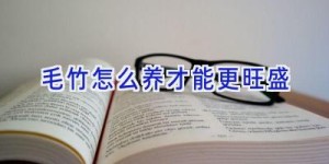 毛竹怎么养才能更旺盛