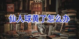 仙人球黄了怎么办