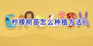 柠檬树苗怎么种植方法