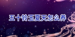 五十铃玉夏天怎么养