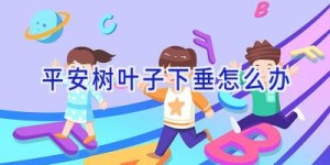 平安树叶子下垂怎么办
