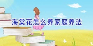 海棠花怎么养家庭养法