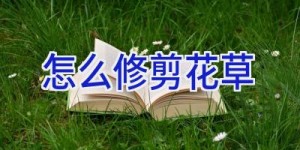 怎么修剪花草