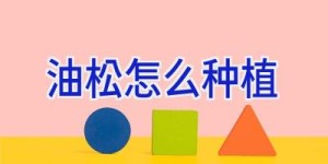 油松怎么种植