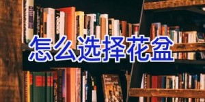 怎么选择花盆