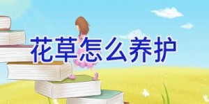 花草怎么养护