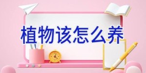 植物该怎么养