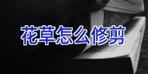 花草怎么修剪