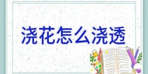 浇花怎么浇透
