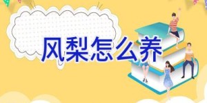 风梨怎么养