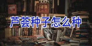 芦荟种子怎么种