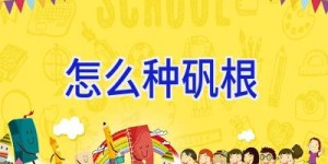 怎么种矾根