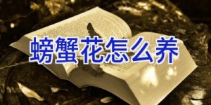 螃蟹花怎么养