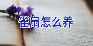 雀扇怎么养