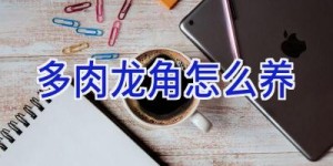 多肉龙角怎么养