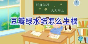 豆瓣绿水培怎么生根