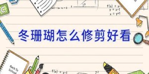 冬珊瑚怎么修剪好看