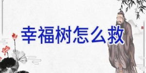 幸福树怎么救