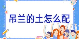 吊兰的土怎么配