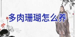 多肉珊瑚怎么养