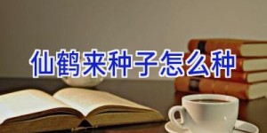 仙鹤来种子怎么种