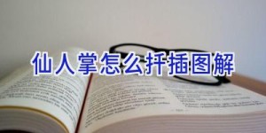 仙人掌怎么扦插图解