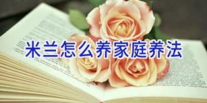 米兰怎么养家庭养法