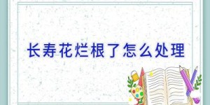 长寿花烂根了怎么处理