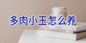多肉小玉怎么养
