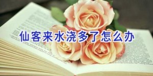 仙客来水浇多了怎么办