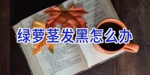 绿萝茎发黑怎么办