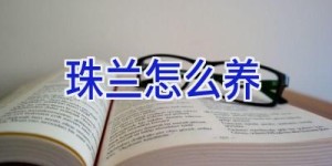 珠兰怎么养