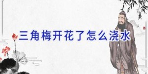 三角梅开花了怎么浇水