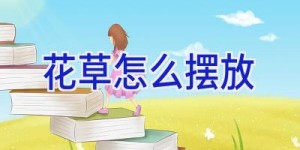 花草怎么摆放