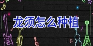 龙须怎么种植