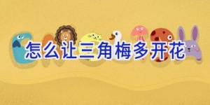 怎么让三角梅多开花