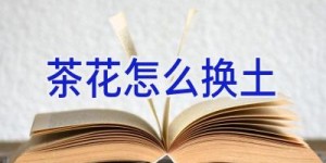 茶花怎么换土