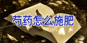 芍药怎么施肥