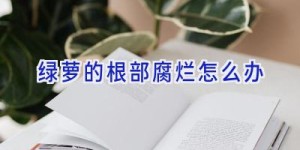 绿萝的根部腐烂怎么办
