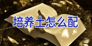 培养土怎么配