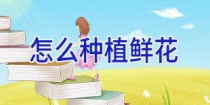怎么种植鲜花